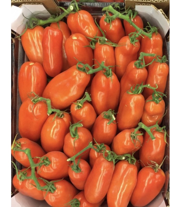 Pomodoro San Marzano 8Kg