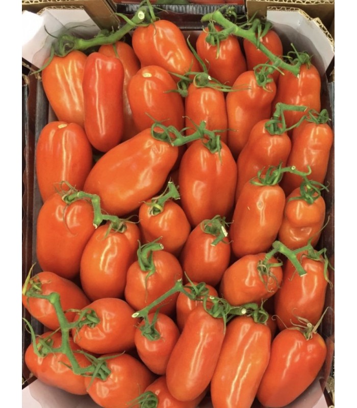Prezzo Pomodori San Marzano Al Kg