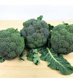 Broccoli Puglia 5 Kg