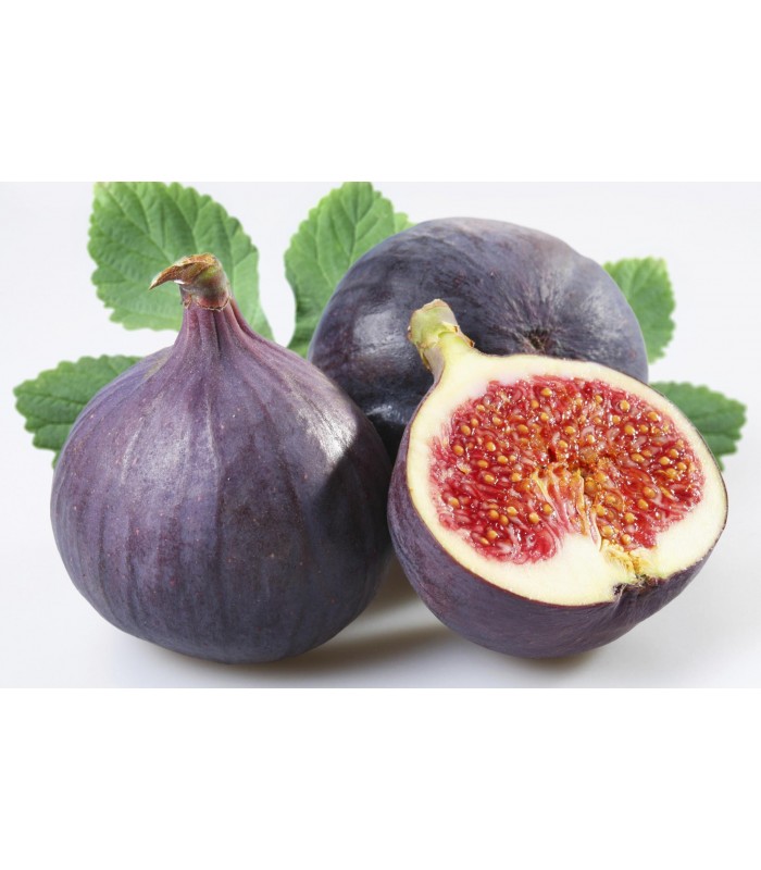 Fichi neri