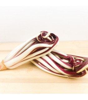 Radicchio Tardivo x 3kg