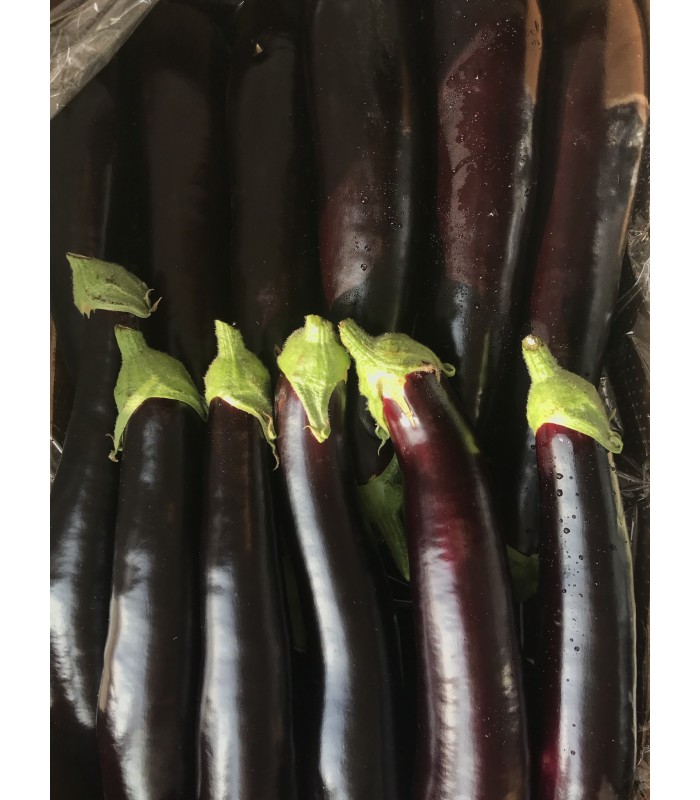 Melanzane lunghe 5 kg