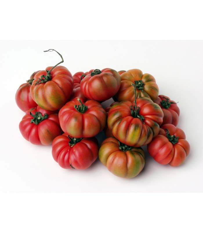 Pomodoro Costoluto 4kg