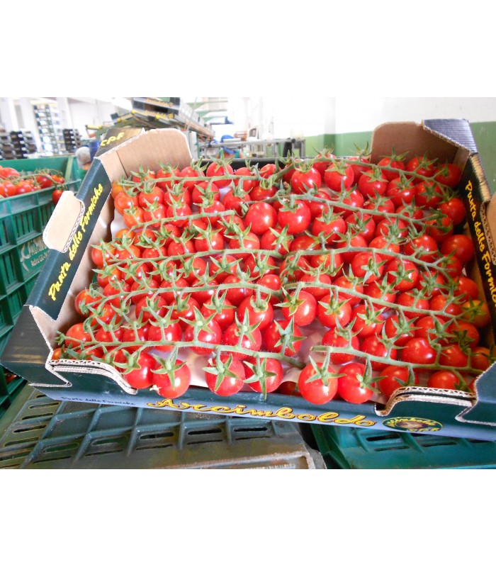 Pomodoro Ciliegino 3kg