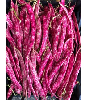 Fagioli Borlotti freschi 5kg
