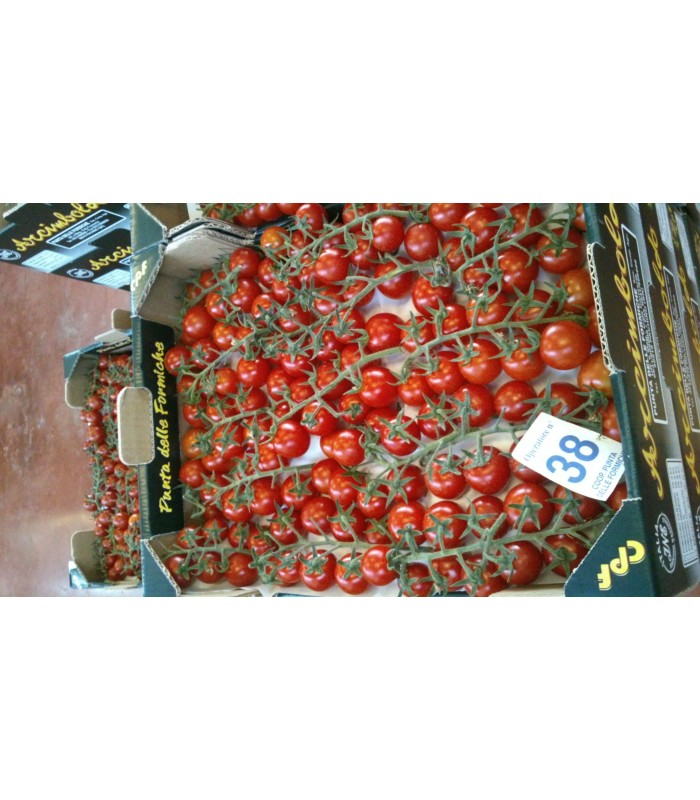 Pomodoro Ciliegino 3kg