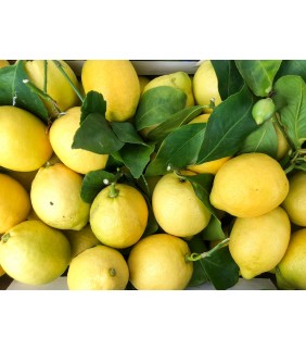 Limoni naturali con foglia 5kg