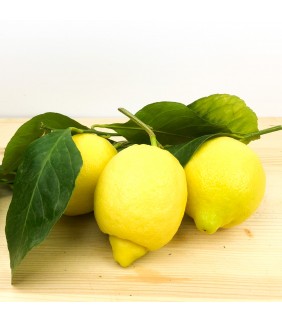 Limoni naturali con foglia...