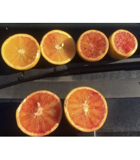 Leche en polvo desnatada 1kg - Colofruit Online - Fruta y verdura a  domicilio