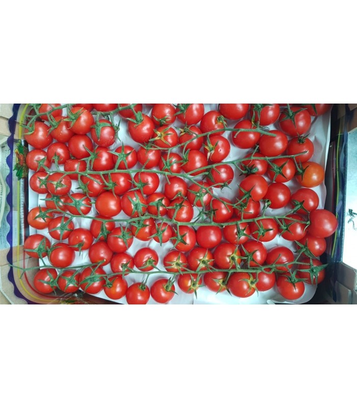 Pomodoro Ciliegino 3kg