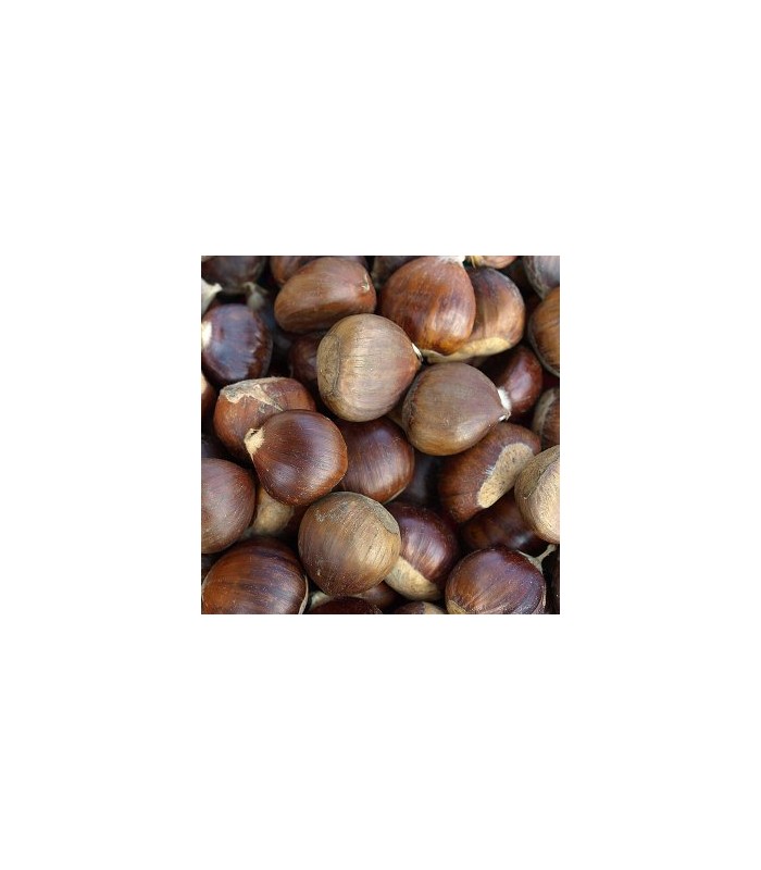 Castagne Cal. 40/50 Piemonte 1kg