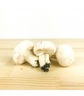 Funghi 3kg cremini champignon