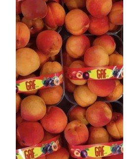 Albicocche  Redcot 1kg+...