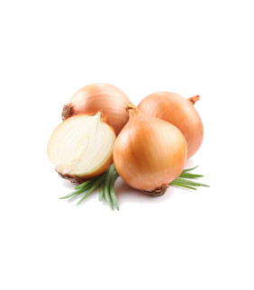 Cipolla Dorata del Fucino 5 Kg