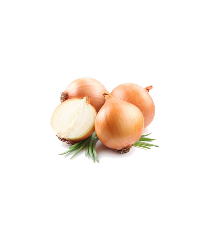 Cipolla Dorata del Fucino 5 Kg