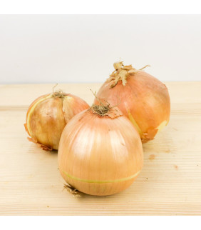 Cipolle Gialle o Dorate 1Kg