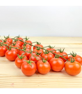 Pomodoro Ciliegino 1kg
