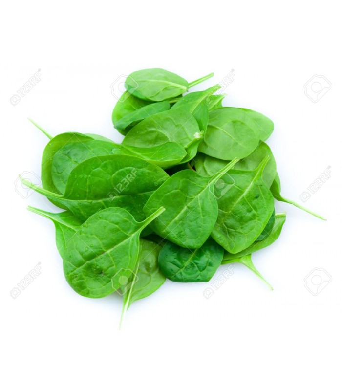 Insalata spinacino 2 bustex250g