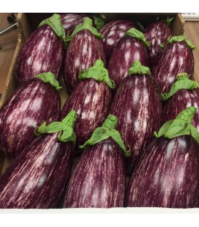Melanzane tigre 5kg