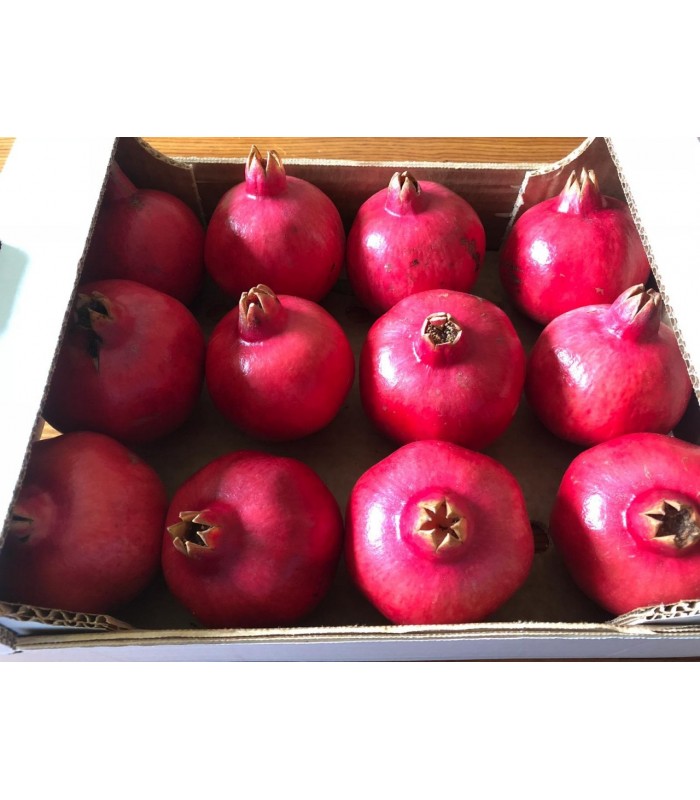 Melograno 5kg