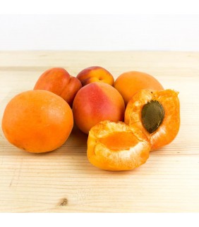 Albicocche Redcot 6kg
