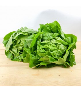 Insalata Lattuga Trocadero...