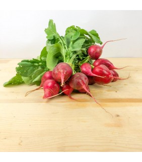 Ravanelli 200g x 4 mazzi