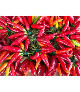 Peperoncino rosso Cayenne...