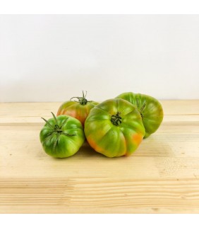 Pomodoro Costoluto  4kg da...
