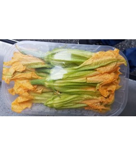 Fiori di zucca 100g