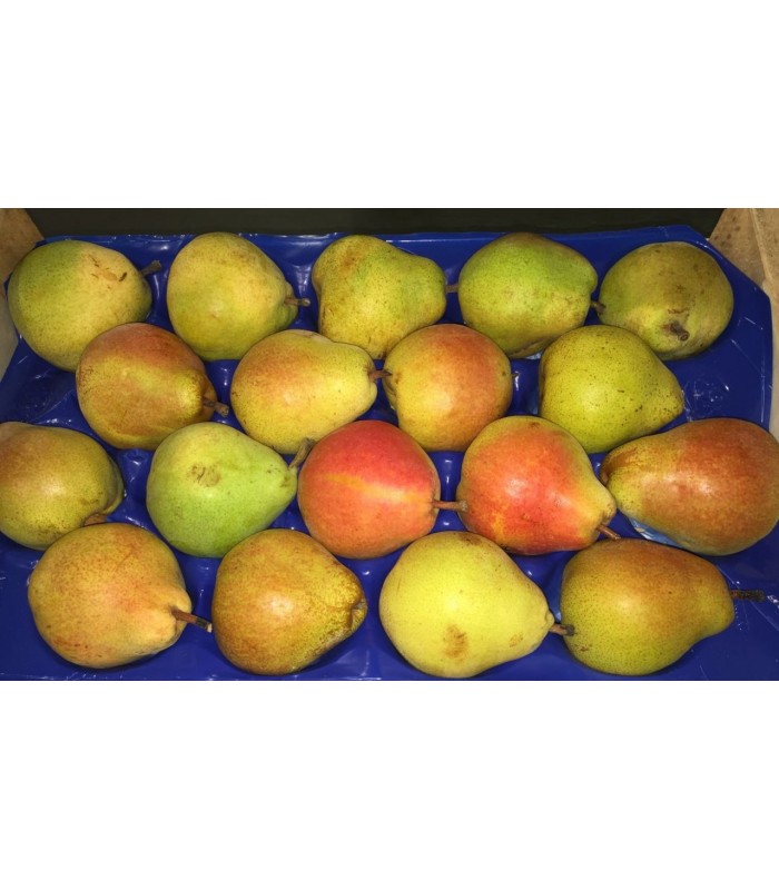 Pera del Comizio IGP padella da 4.5kg