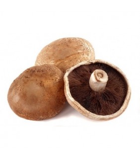 Funghi Portobello 2,5kg ca