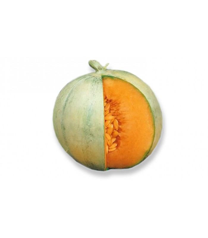 MELONE LISCIO