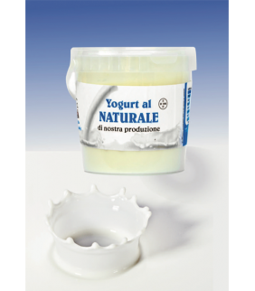Yogurt Naturale 200g