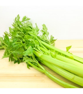 Sedano verde foglia x 8kg (...