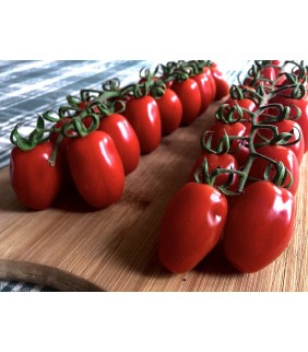 Pomodori Piccadilly 6kg con...