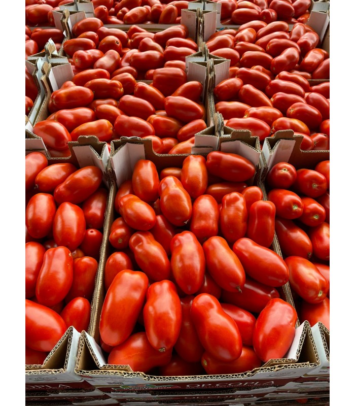 San Marzano Salsa ed insalata