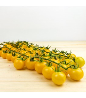 Pomodoro Ciliegino giallo 1kg