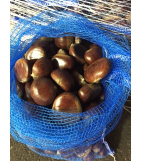 Castagne 2,5kg M cal. medio...