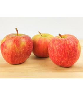 Mele 1kg Fuji