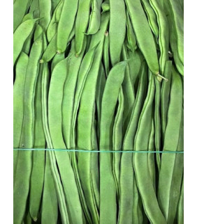 Fagioli verdi Piattoni x 1kg