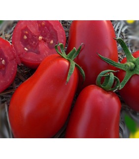 A-Pomodori Perini 1kg