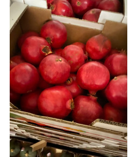 Melagrana 6kg (melograno)