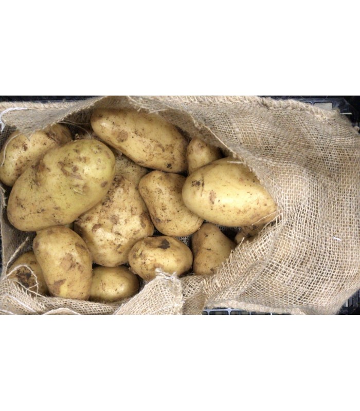 Patate Spunta di Polignano 2kg