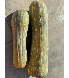 Zucca Napoli tagliata 2.5kg