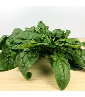 Spinaci in busta 6x500g
