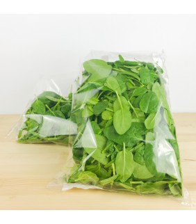 Insalata Spinacino 125g x8