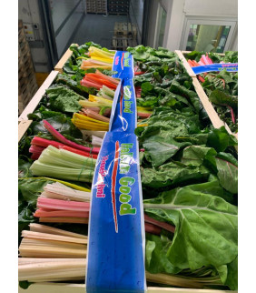 Bietole Coste arcobaleno x 5kg