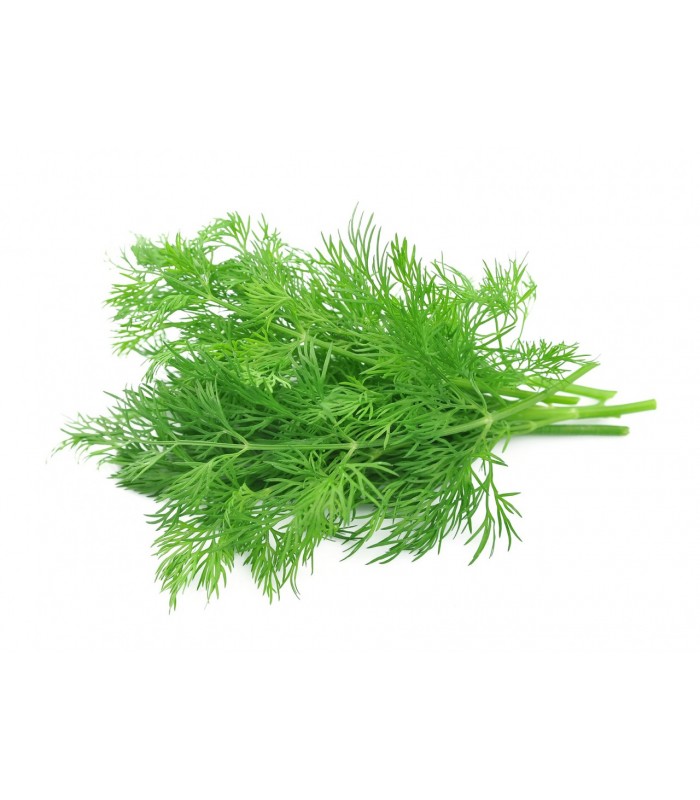 Finocchietto selvatico 1kg