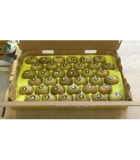 Kiwi Giallo 1kg Soreli Italia